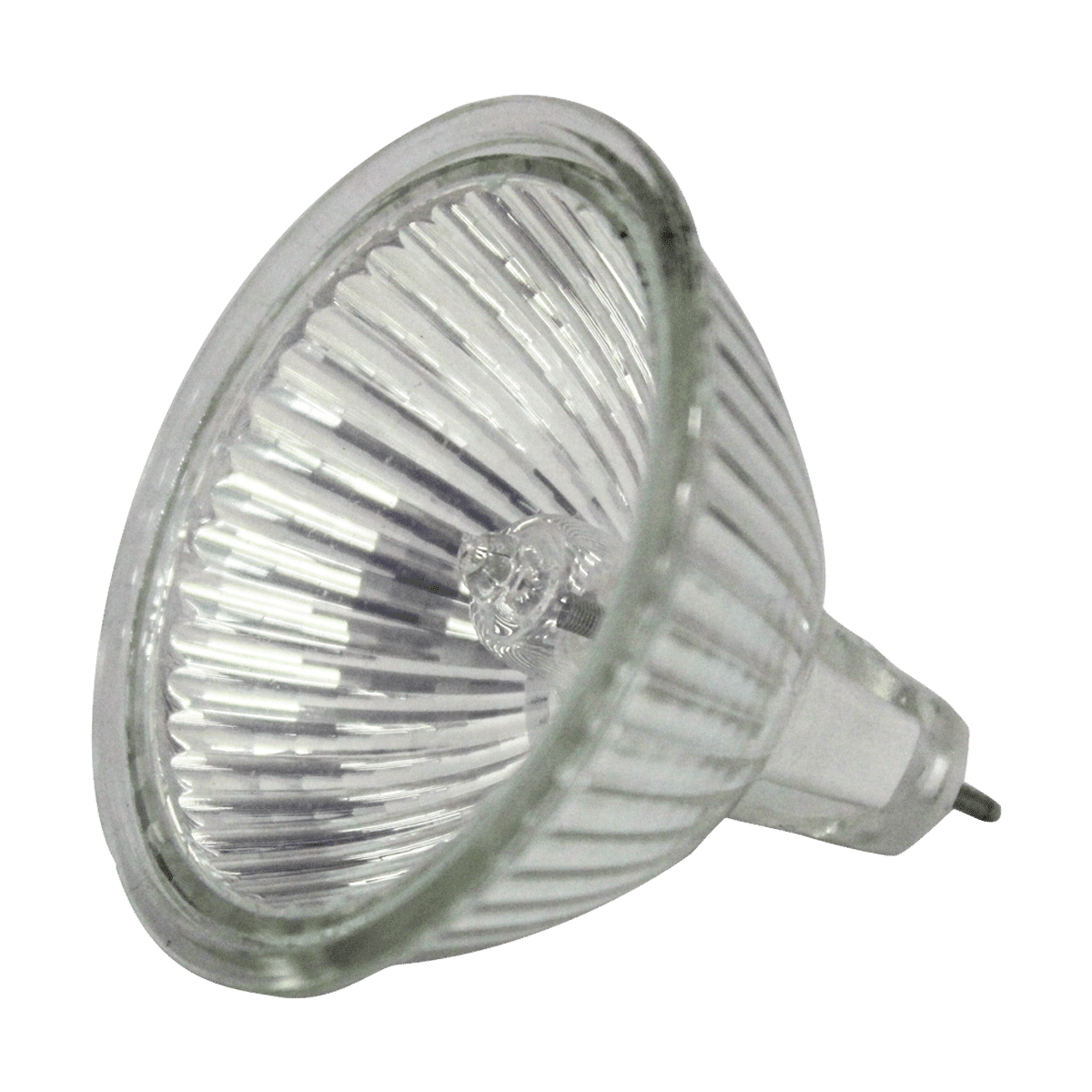 Low Voltage Light Globe